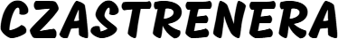 Logo czasnatrenera.pl